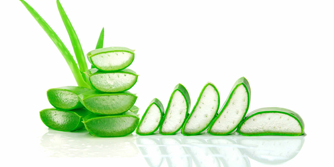 Aloe-vera-sational! The Real Deal on Aloe Vera for Skincare - Benefits, Side Effects, and Pro Tips!